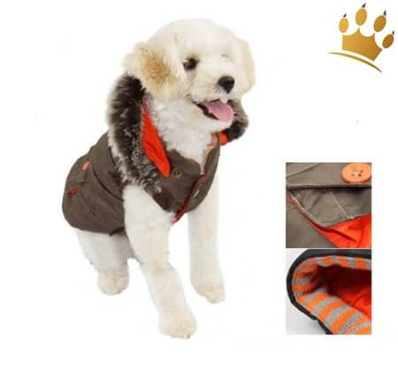 Hundeweste CamouChino Coffee