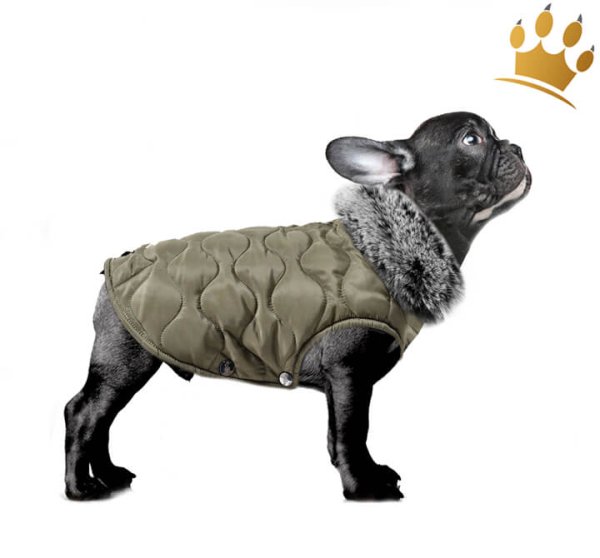 Milk & Pepper Hundemantel TheOdore