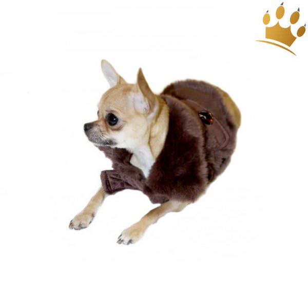 Hundemantel Moskau Braun