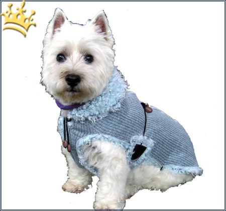Hundemantel Zürs Blau