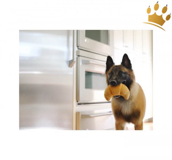 Hundespielzeug Croissant