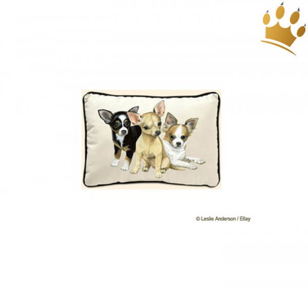 Kissen Hundemotiv Chihuahua