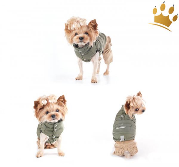 Puppy Angel Army Barmy Military Grün