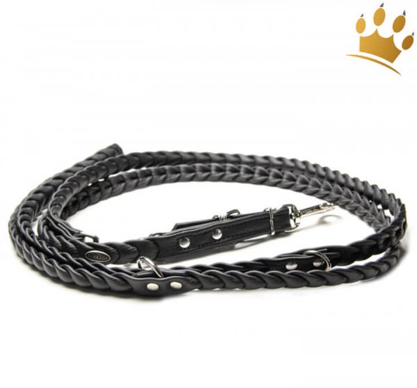 Hundeleine Leder Schwarz 200cm