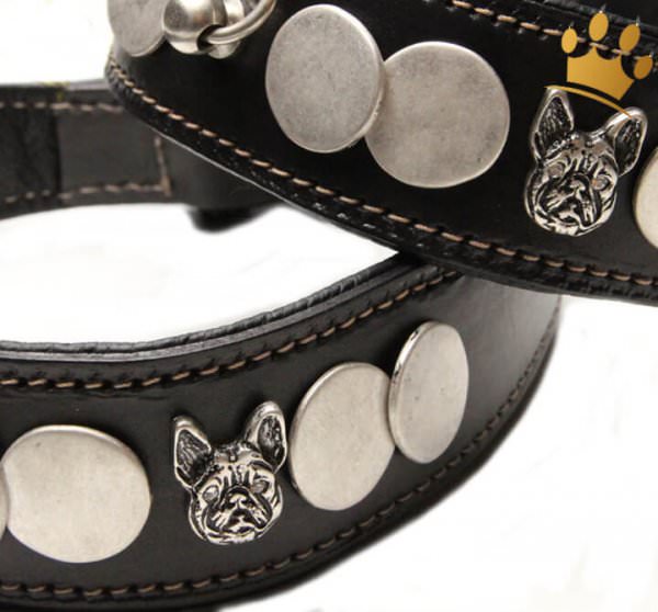 Malucchi Hundehalsband Ratier Bulldogge Detail