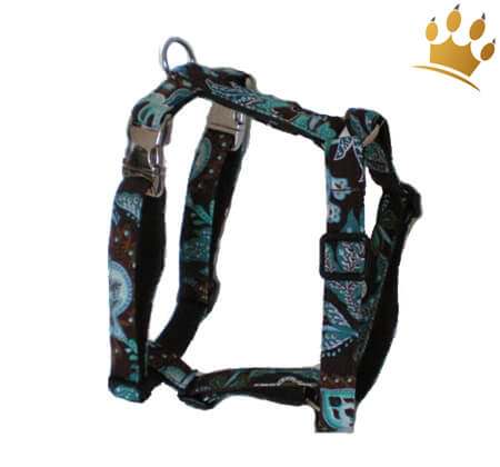 Hundegeschirr Frozen