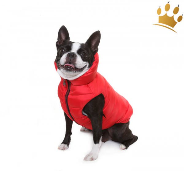 Puppy Angel Hundemantel Urban Outdoor Faux Purpel