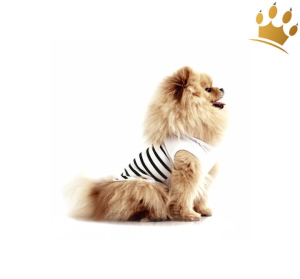 Milk & Pepper Ciao Bella Hunde-T-Shirt