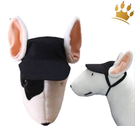 Hundebasecap Schwarz