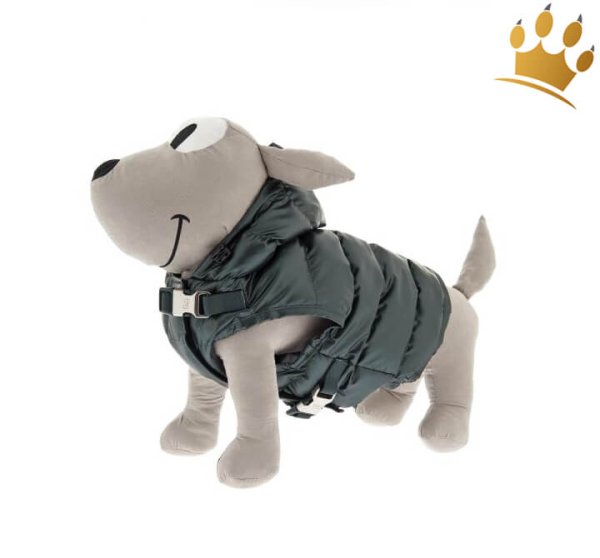 Hundemantel Ghiaccio Grün