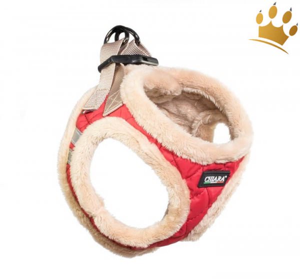 Step In Hundegeschirr Chiara Diamond
