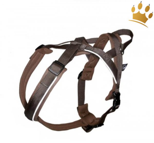 Jack-B Norsteq Hundegeschirr Mocca