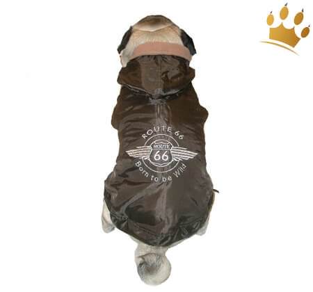 Hundemantel Route 66 Braun