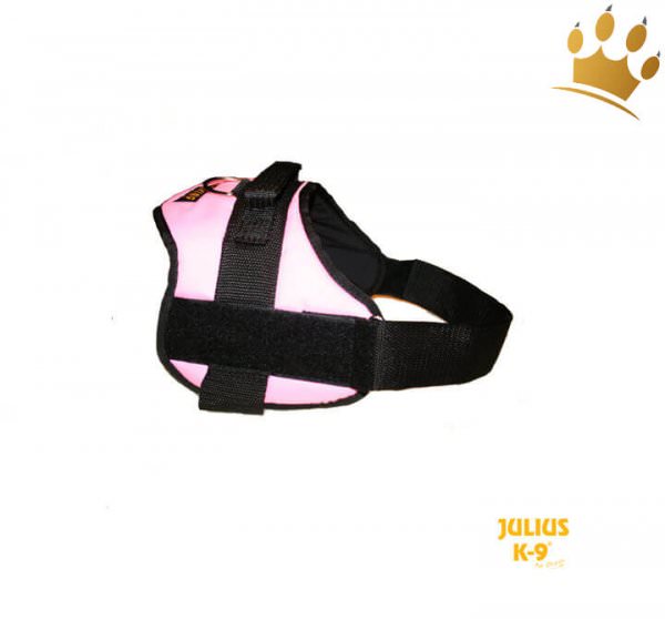 Julius-K9® Talking Power Pro pink