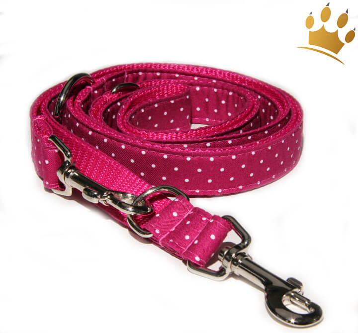 Hundeleine Little Dotty Fuchsia Hundeleine Nylon Punkte Nylonleinen Hundeleinen Halsband Leine Geschirr Cani Di Mondo Onlineshop Fur Exklusives Hundezubehor