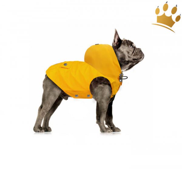 Milk & Pepper Tribord Bully-Mops Hunderegenmantel Gelb