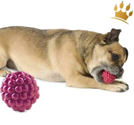 Hunde-Spielzeug Orbee-Tuff Rasberry