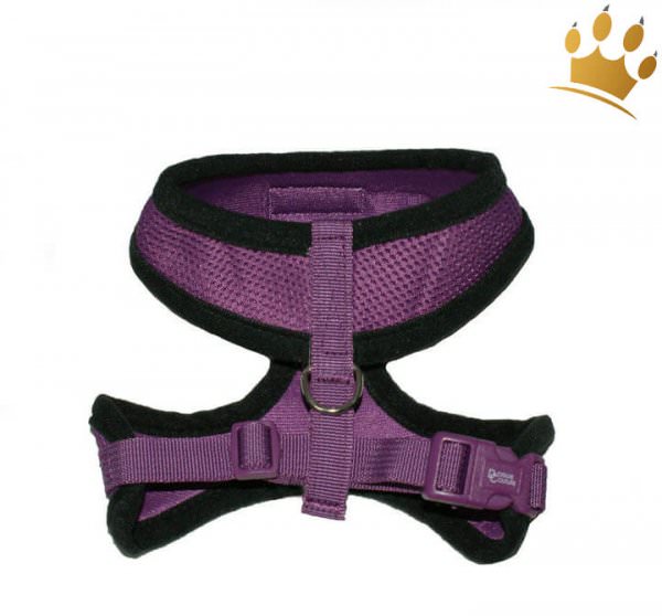 Hunde-Softgeschirr Summer Mesh Pflaume