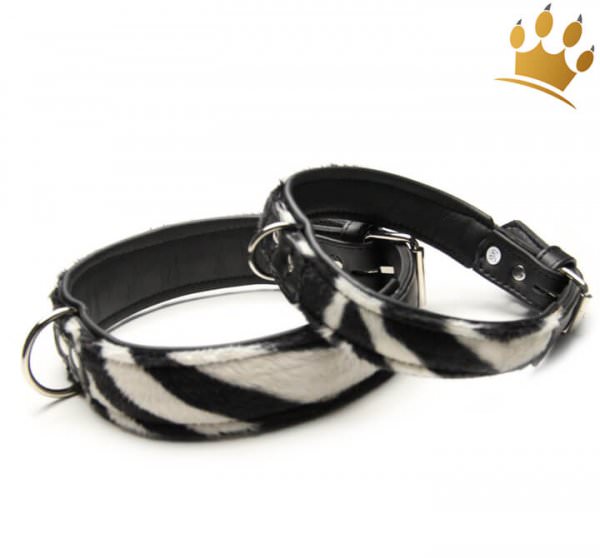 Hundehalsband Nairobi Zebra