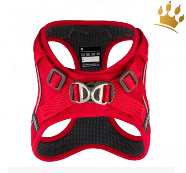 Dog Copenhagen Comfort Walk Go Red