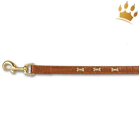 Hundeleine Bling Bling Bones Braun / Gold