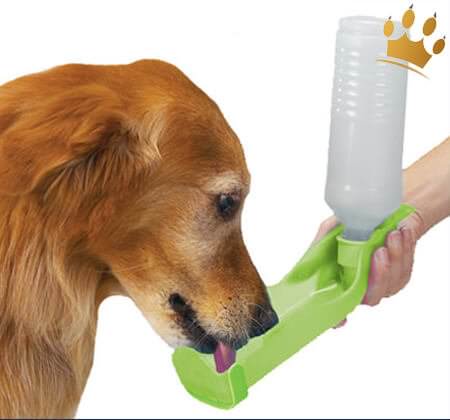 Hundetrinkflasche maxi grün