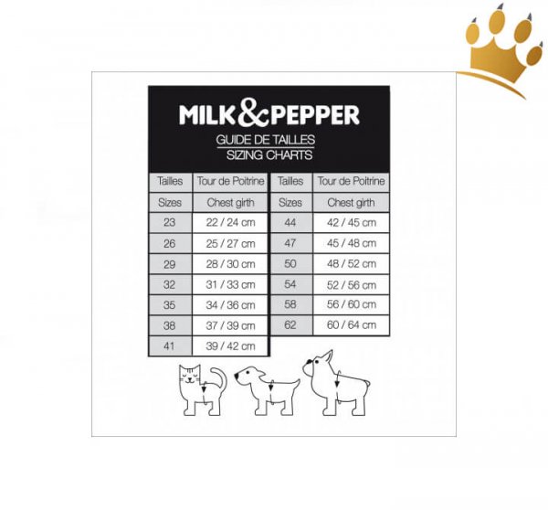 Milk & Pepper Step InTravis Hundegeschirr Grau