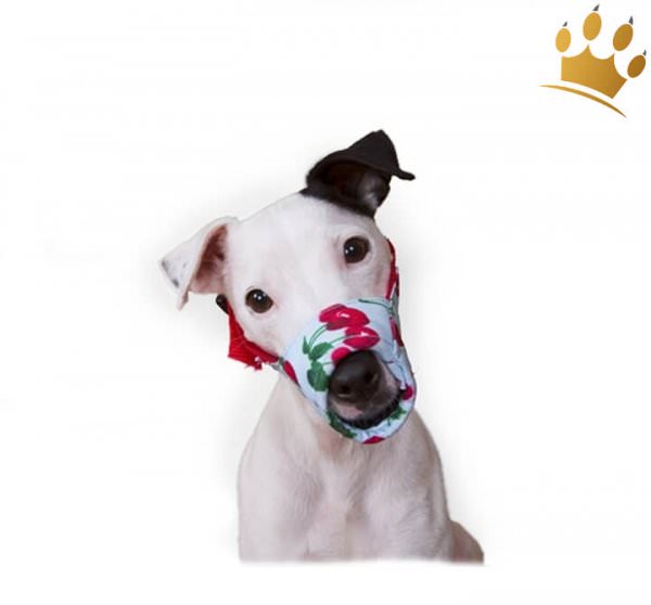 Hundemaulkorb Krasy Cherry