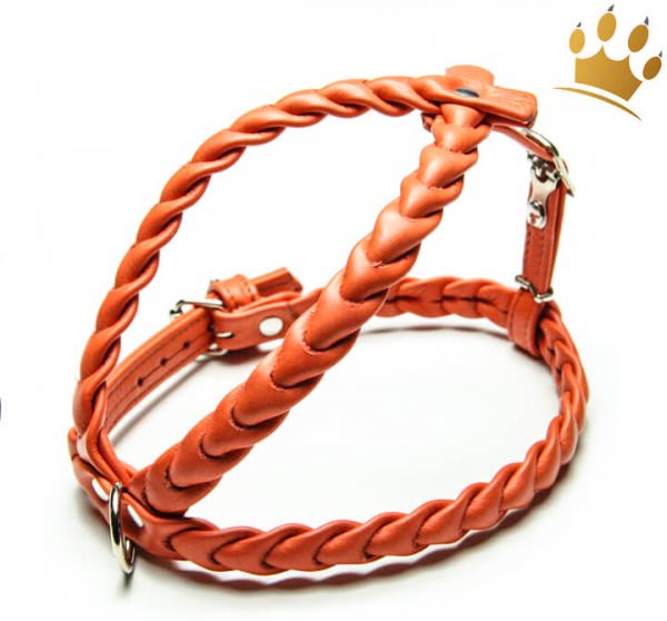 Leder-Hundegeschirr Ascot Orange
