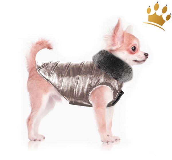 Milk & Pepper Hundemantel Moonlight