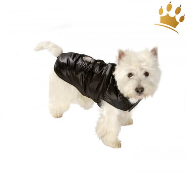 Hundemantel Piccadilly Schwarz