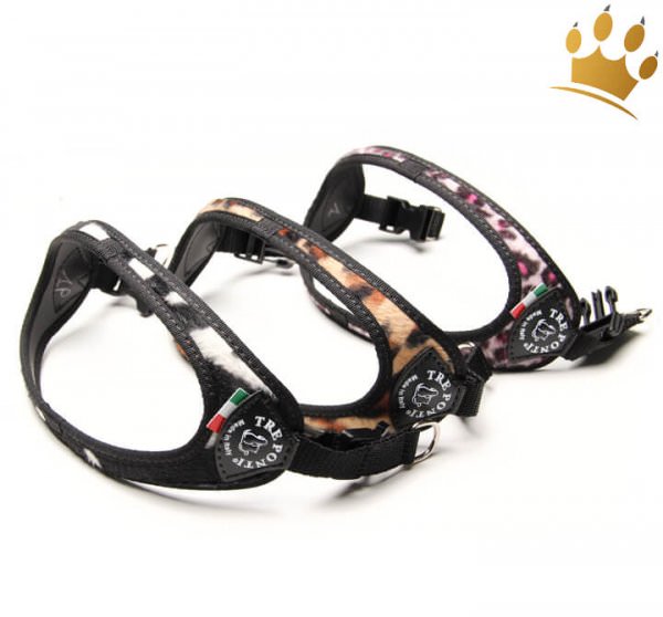 Tre Ponti Hundegeschirr Afrika alle