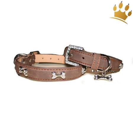 Hundehalsband Kingston Caramel