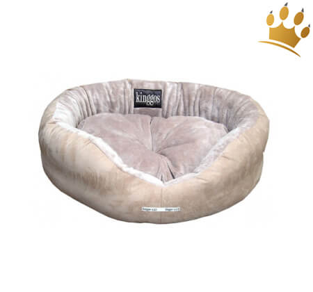 platinum trockenfutter hund Platinum Adult Trockenfutter fr Hunde mit Rindfleisch und Kartoffeln,   ZuZu.land