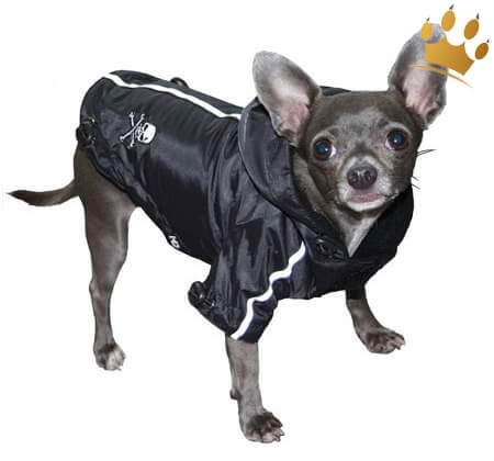 Hunderegenjacke Pupagolia