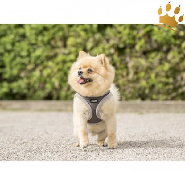 Step In Hundegeschirr Chiara Diamond Grau Hund