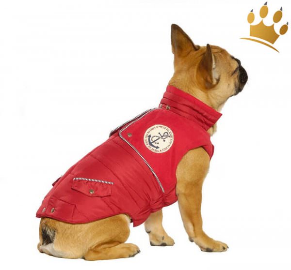 Hundemantel VOILE Red