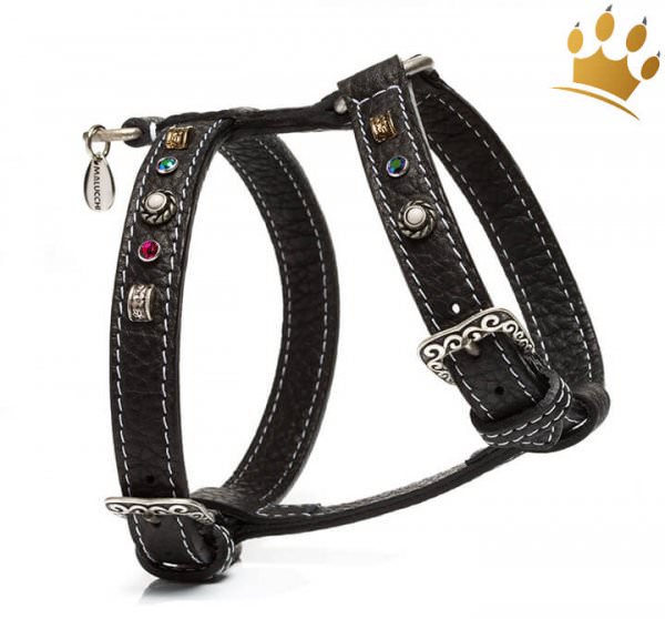 Hundegeschirr Leder Ghibli Black Mirror