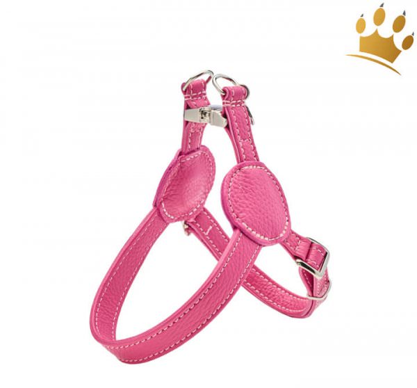 Malucchi Hundegeschirr Movie Fuchsia