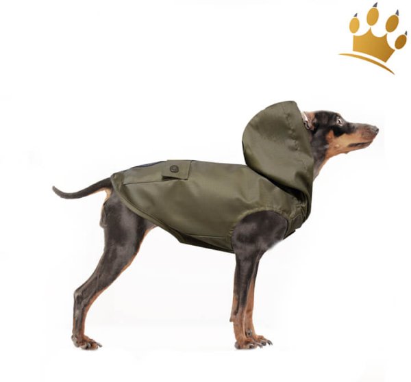 Milk & Pepper Hunderegenmantel Edgar Kaki