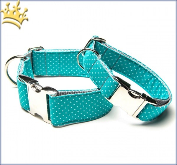 Hundehalsband Little Dotty Türkis