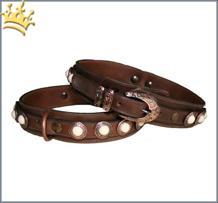 Hundehalsband Molina