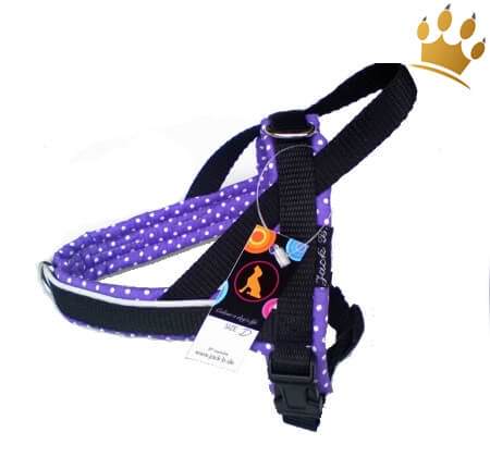 Jack-B Hundegeschirr Lila Dots