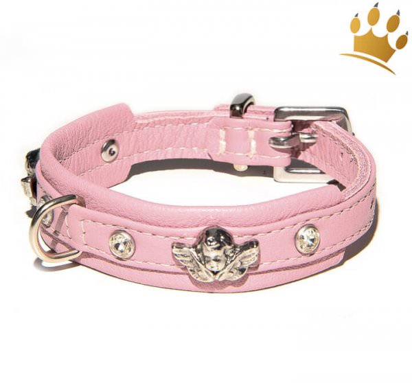 Hundehalsband Angel Petite Rosa