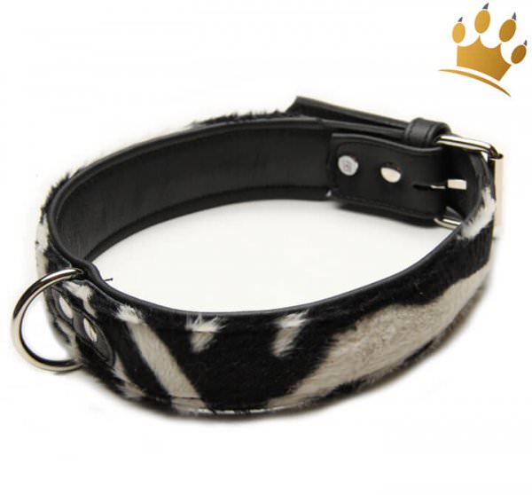 Hundehalsband Nairobi Zebra