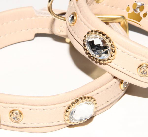 Hundehalsband Elfenbein Clear Thunder Petit