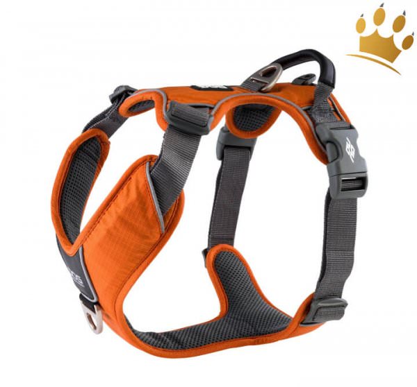 Dog Copenhagen Hundegeschirr V2 Comfort Walk (Pro) Orange Sun