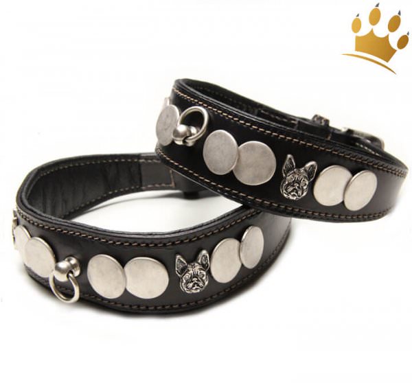 Malucchi Hundehalsband Ratier Bulldogge Schwarz