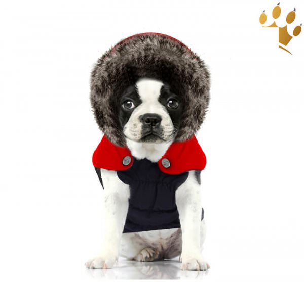 Milk & Pepper Hundemantel Avoriaz Bully