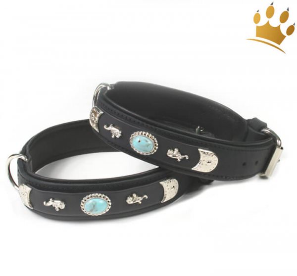 Hundehalsband Kentucky Schwarz